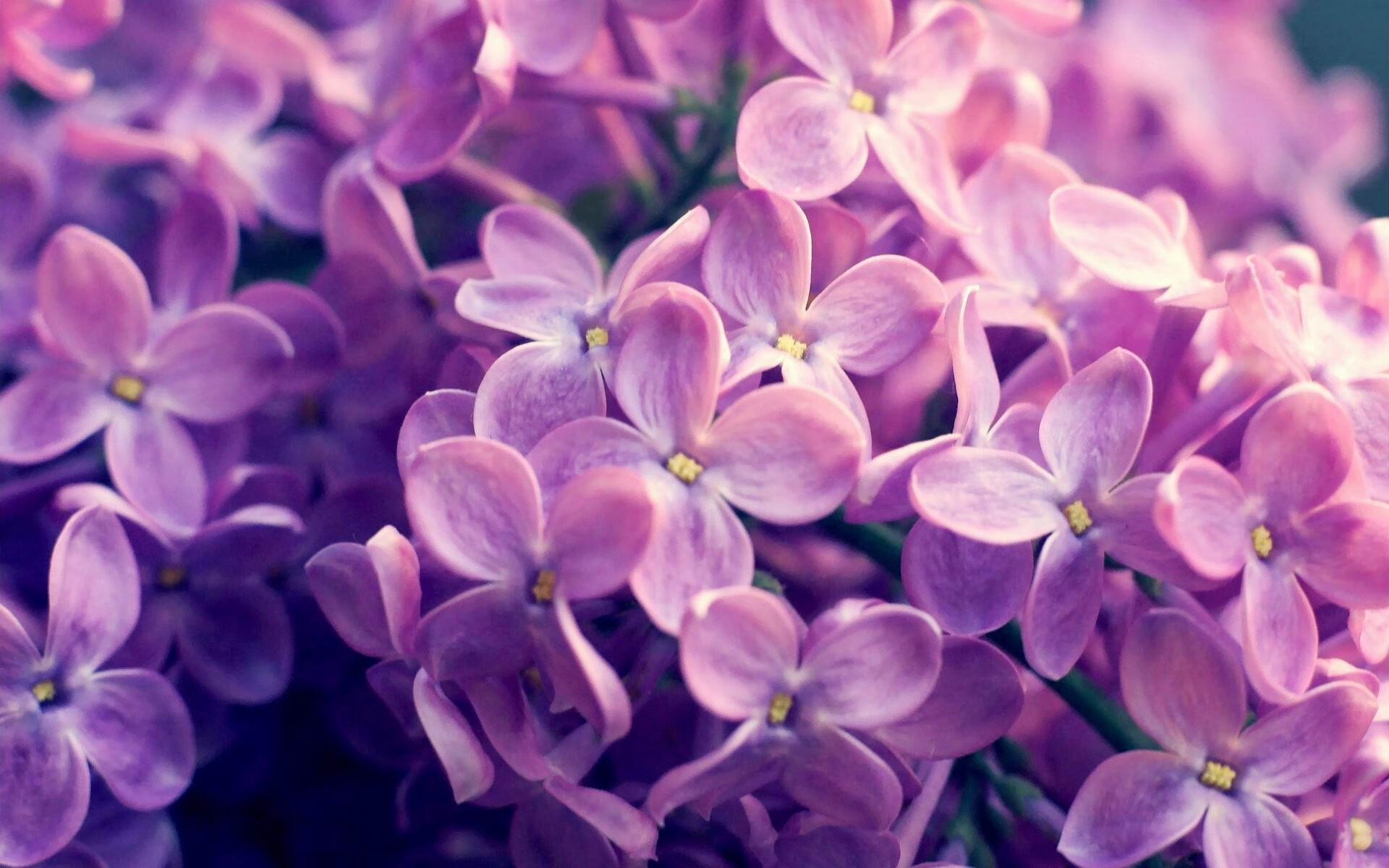 Jiu You-《2025年全球电竞市场规模预测：直逼百亿美元大关》，2020电竞市场规模