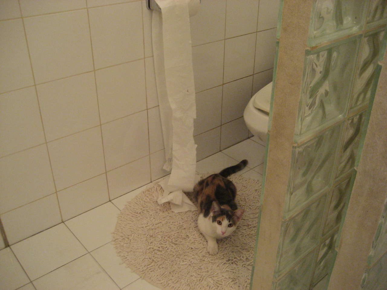 兰斯队员展现团结力量，兰斯10领队