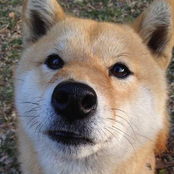 九游9游-快船旧将回归主场引发球迷热烈欢迎，快船今年