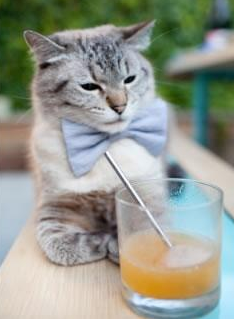 日本队多次打破对方防线,日本队失误