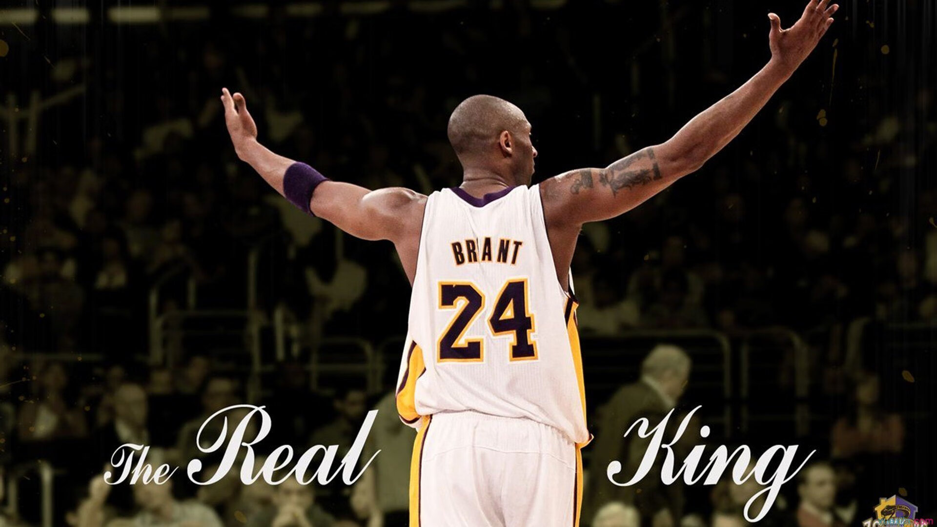 日本队新秀闪耀,未来可期!,日本队新帅