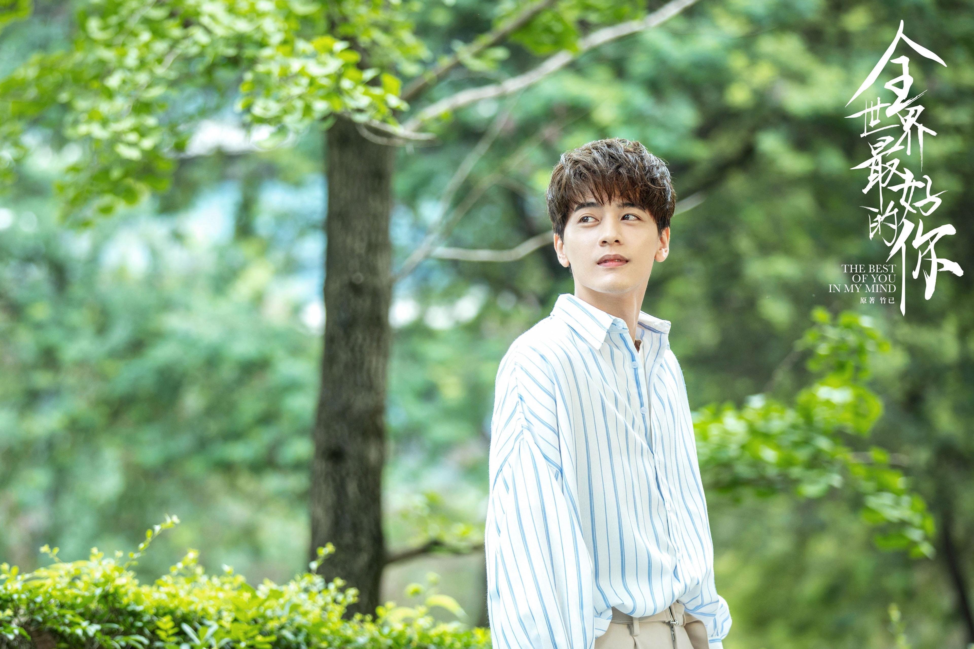 西甲精彩复盘,专家分析球队阵型变化与进攻路线,西甲 球队