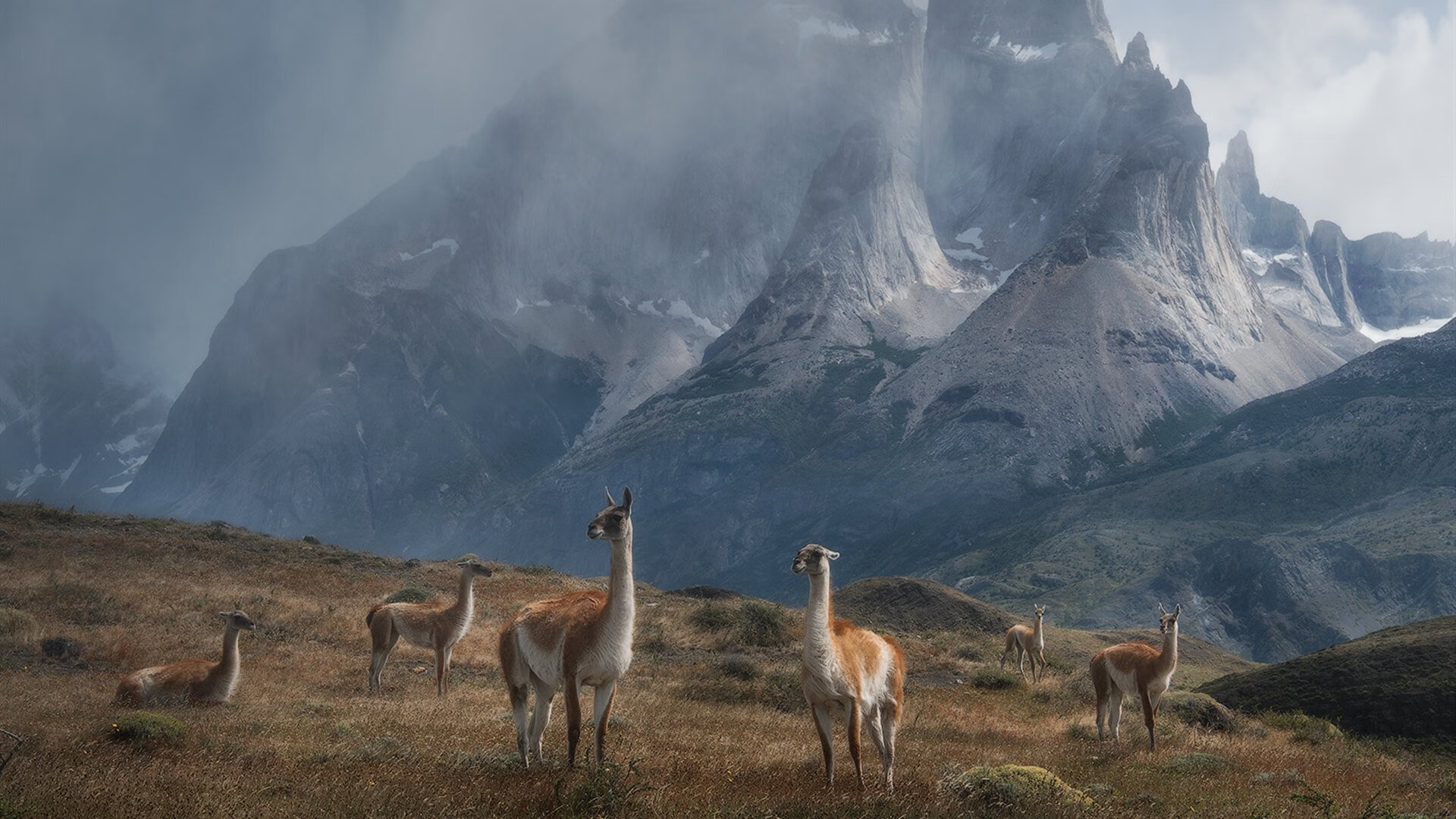 解说团队亮相全球电竞大赛,展现专业素养,电竞解说参加的综艺