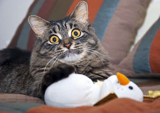 雪地踢球也这么猛?墨西哥队把巴西队踢“滑倒”了,巴西墨西哥比赛