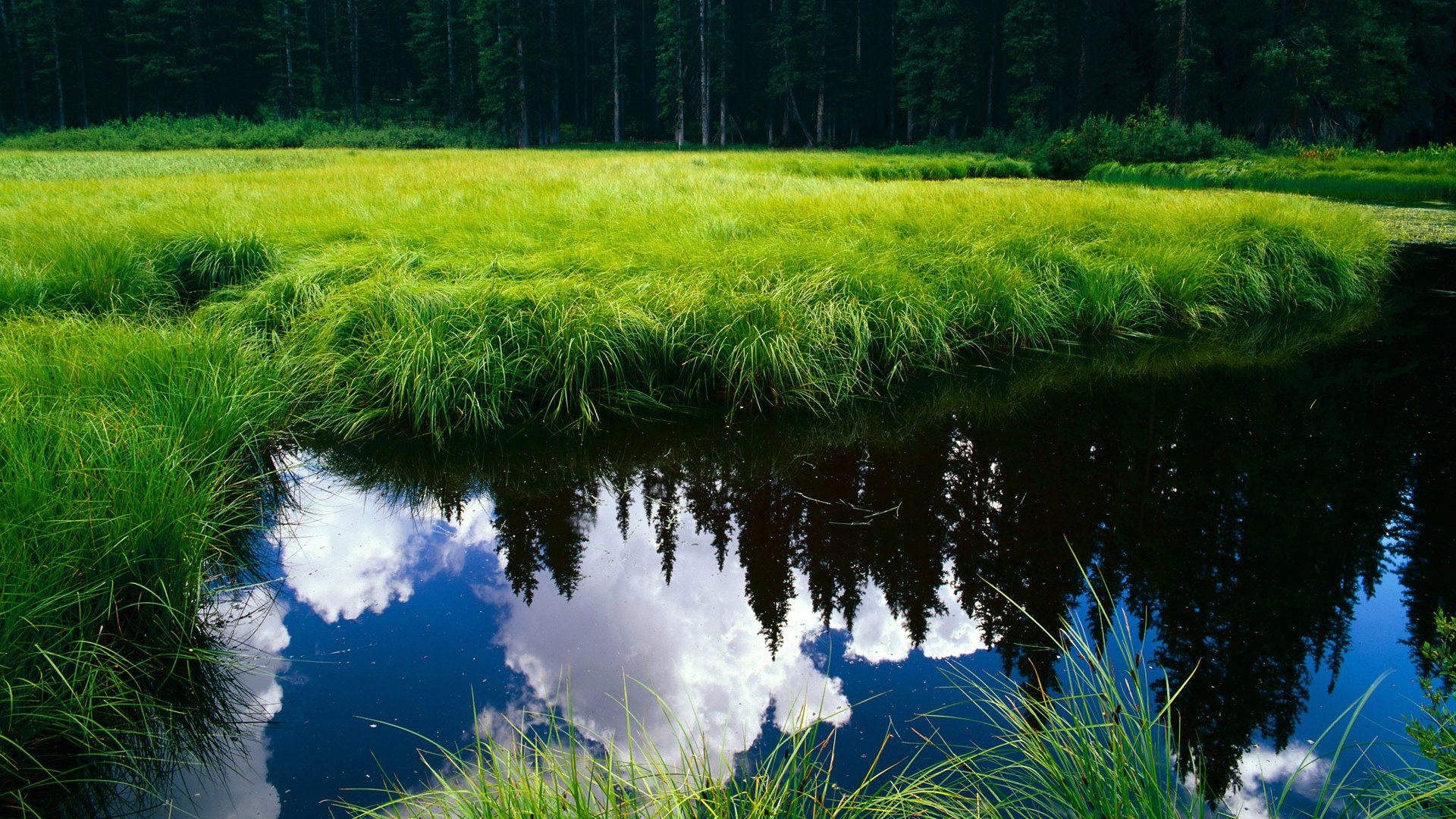 九游网页版入口-高速危险：赛道安全革命的必要性，高速道路安全