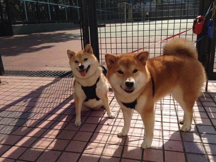 临场表现是否比历史数据更重要,临场表现和发挥的建议