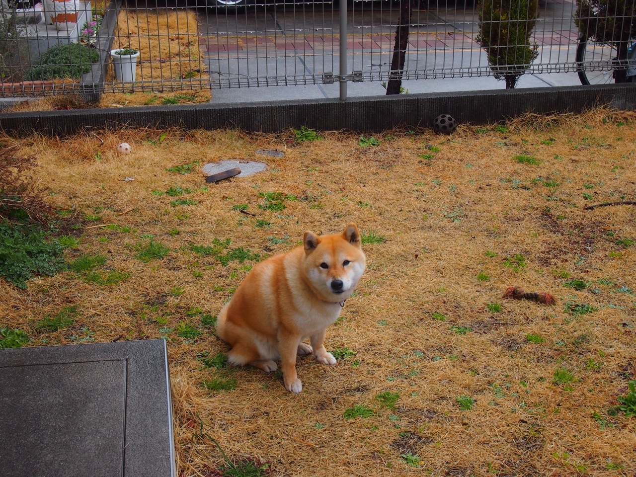 九游登录入口-勇士队伤病潮汹涌，季后赛形势岌岌可危，勇士队季后赛2021