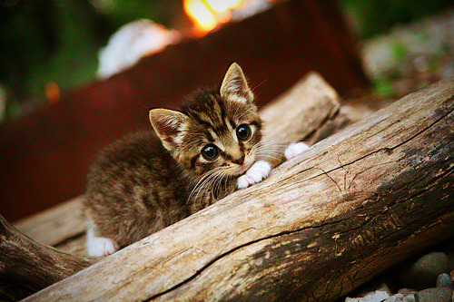 天津泰达迎来胜利走势,球队信心大增,天津泰达足球队赛程表