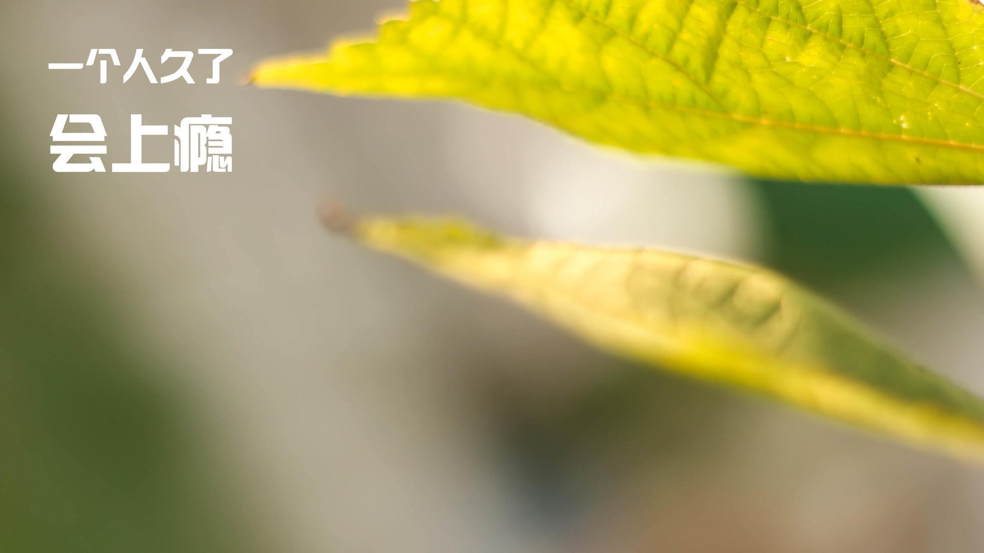 成都瑜伽大会成功举办，推动行业发展，成都瑜伽排名