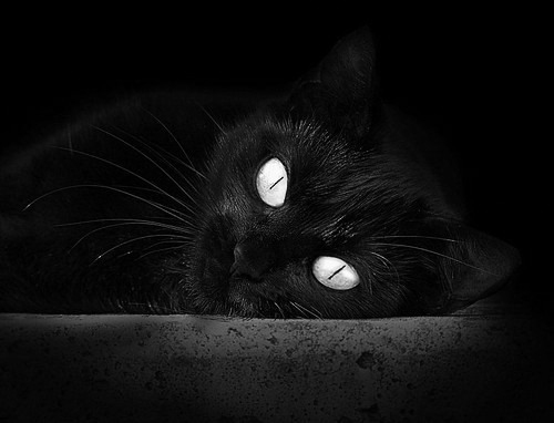 九游网页版官网-法国2-2战平阿根廷，仍保出线希望，法国大战阿根廷