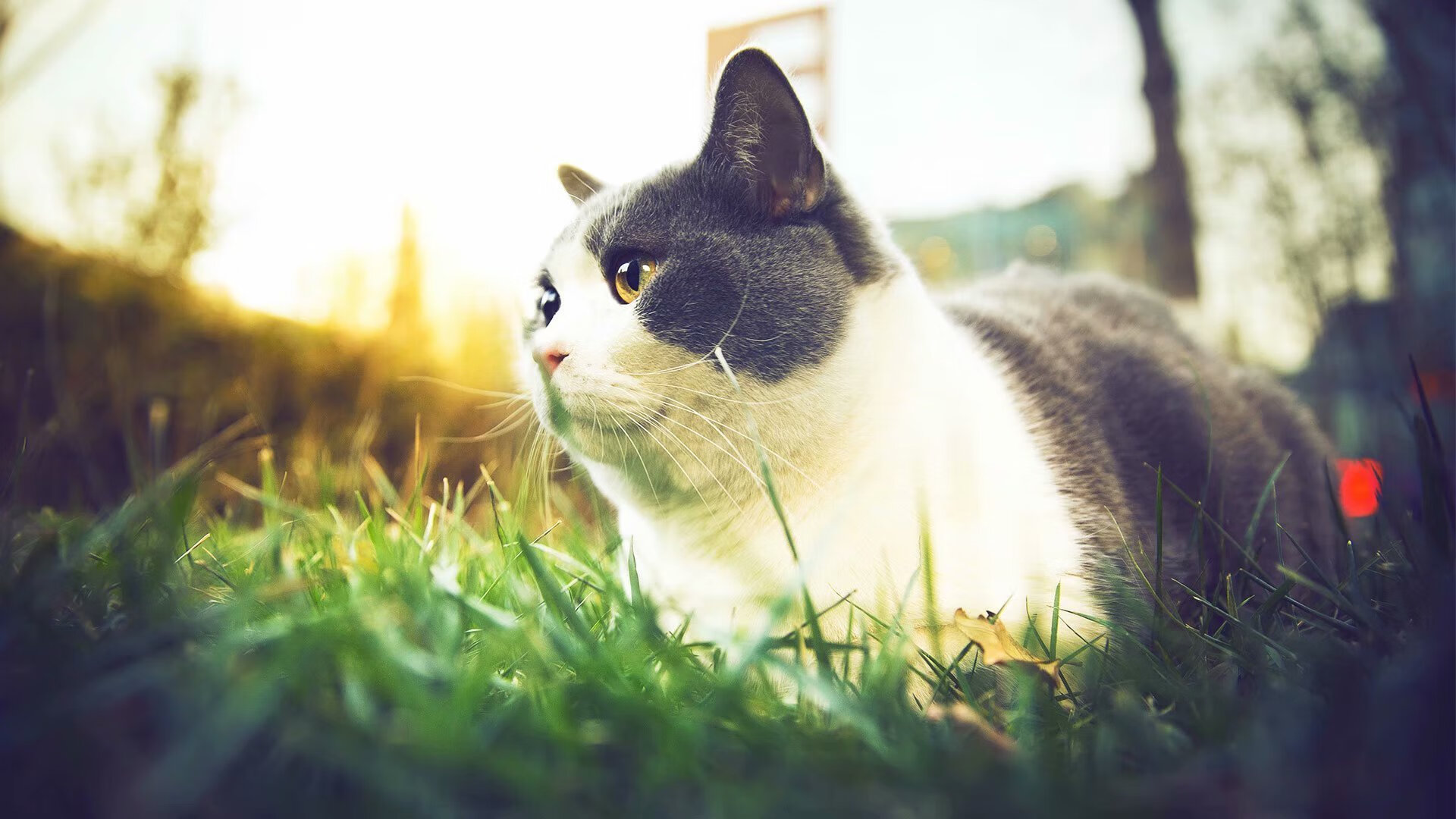 全国青少年马拉松在杭州完美收官，激情无限，青少年 马拉松