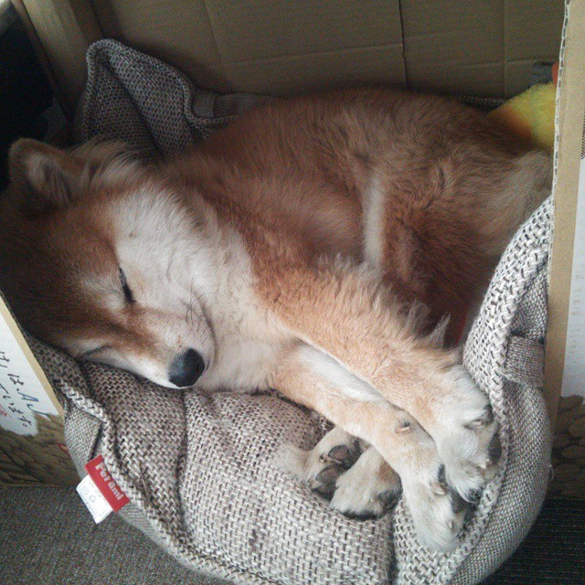 中国女篮积极推进技战术改革,中国女篮训练计划