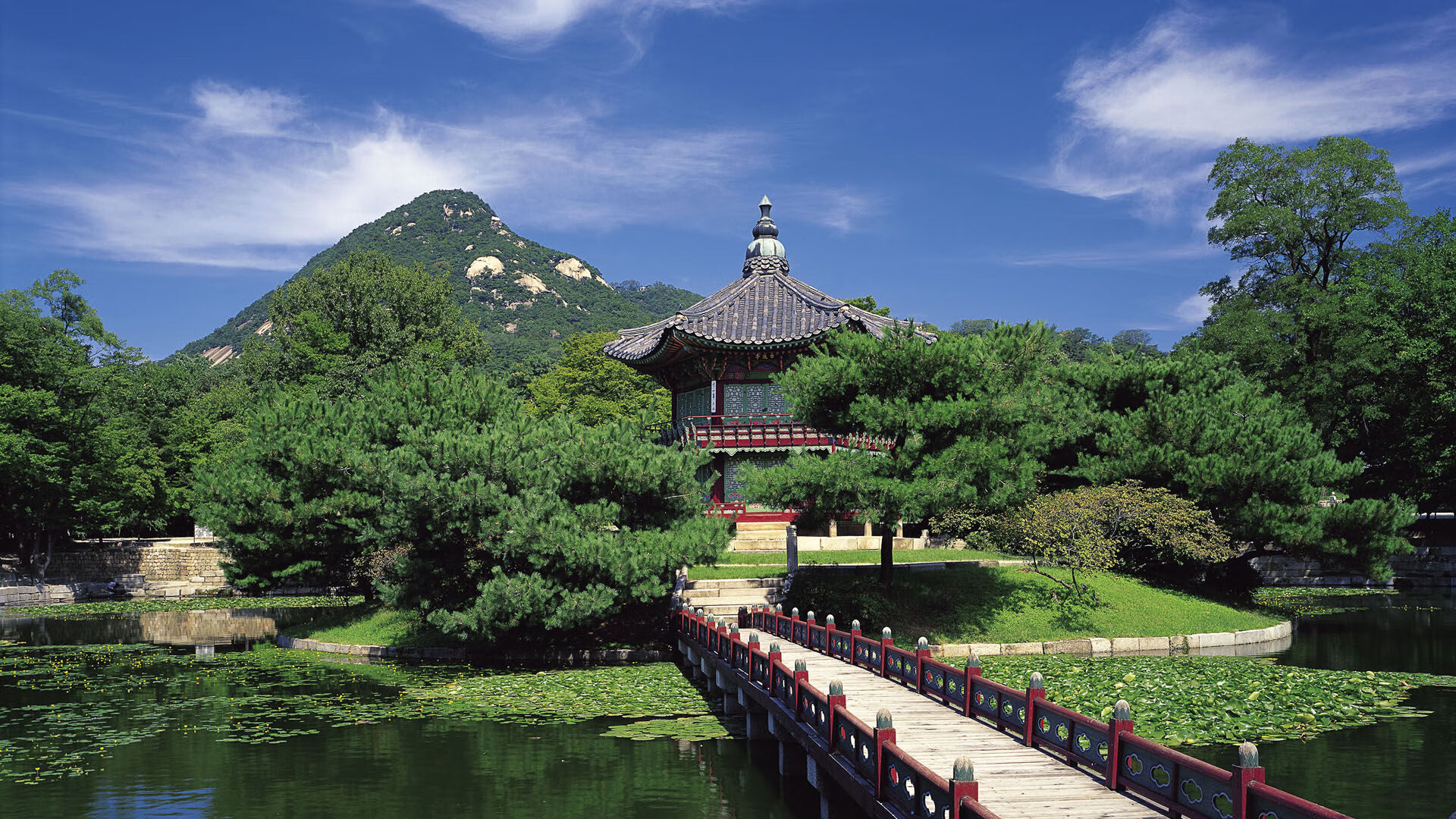 体育新闻中心推动体育赛事VR直播技术创新，vr体育的概念