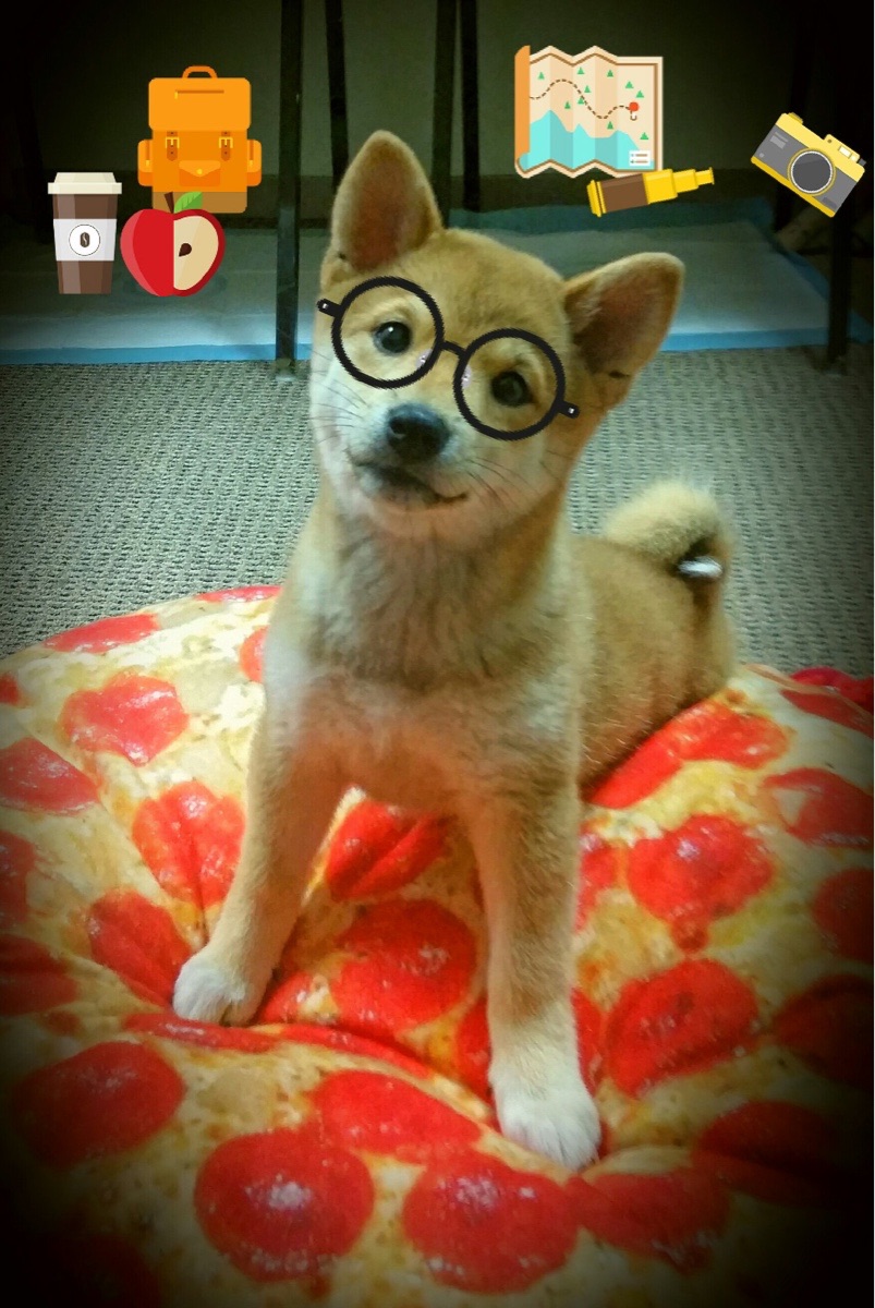 国家体育产业创新平台发布年度研究成果,全国体育产业创新创业大赛