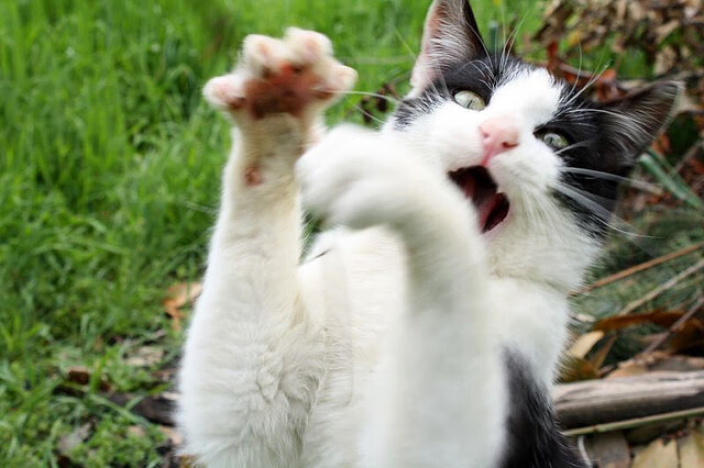 比赛场地改造计划顺利推进,比赛场地布置方案