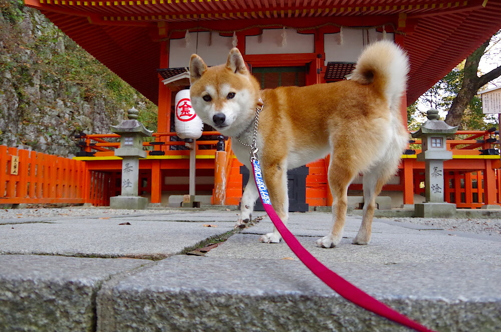 九游娱乐(jiuyou)官网-世界杯畅快竞技：精彩不断，永远精彩！，世界杯精彩比赛