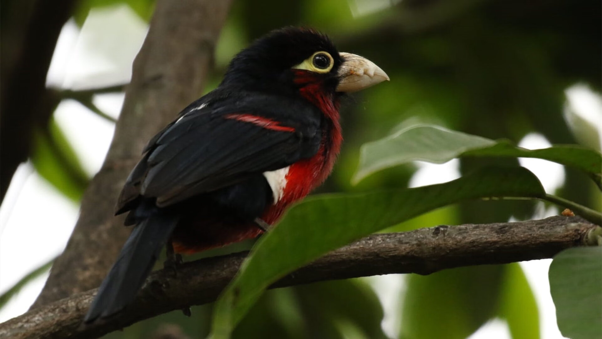 火箭训练场安装智能检测设备监测状态,火箭检测站