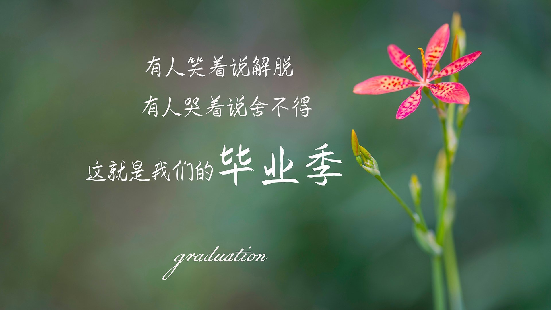 社交平台数据报告显示年轻群体对联赛关注度持续上升,年轻群体占比