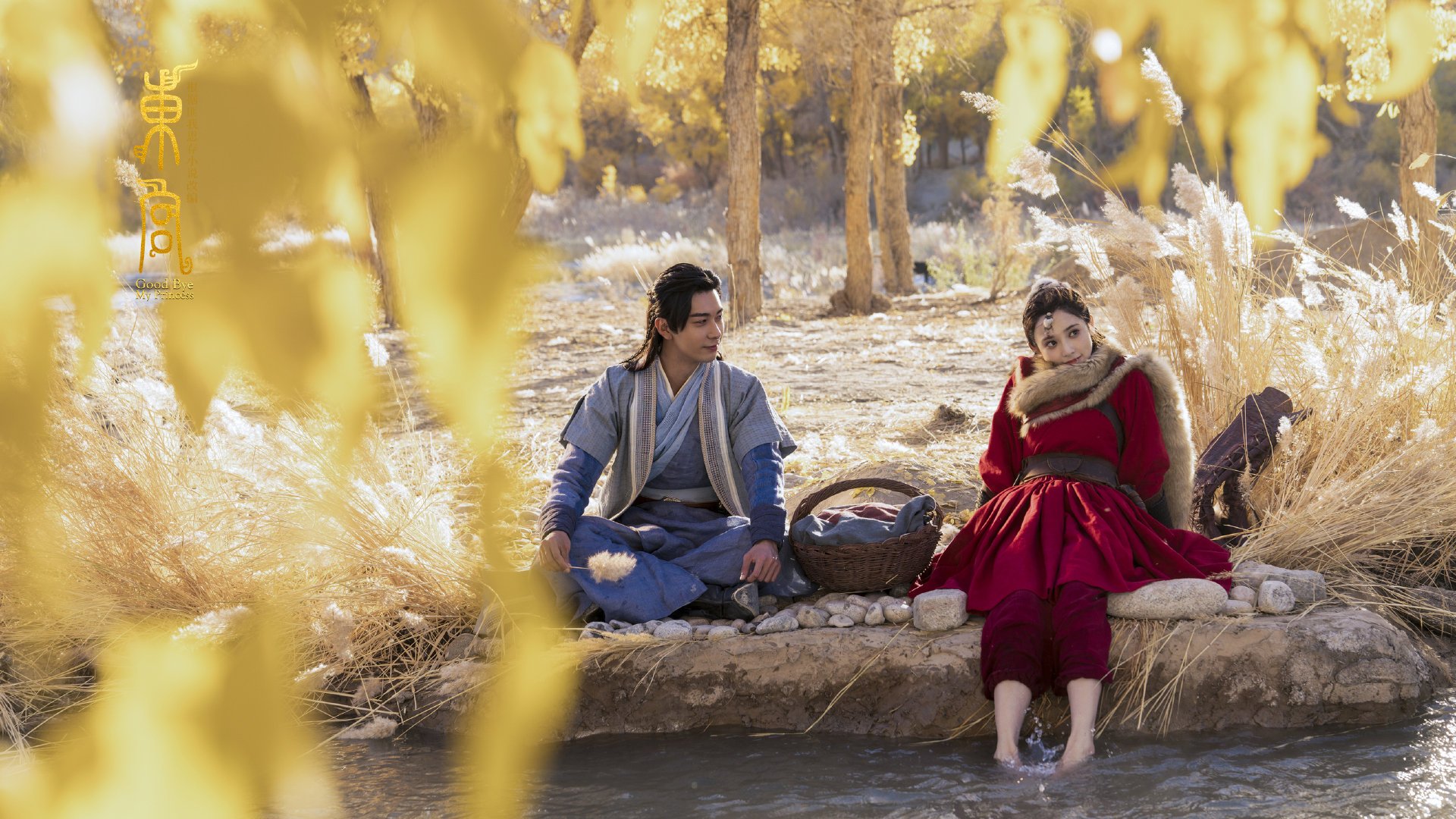 篮球战术演练视频内容更新频率提升,篮球比赛战术教学视频