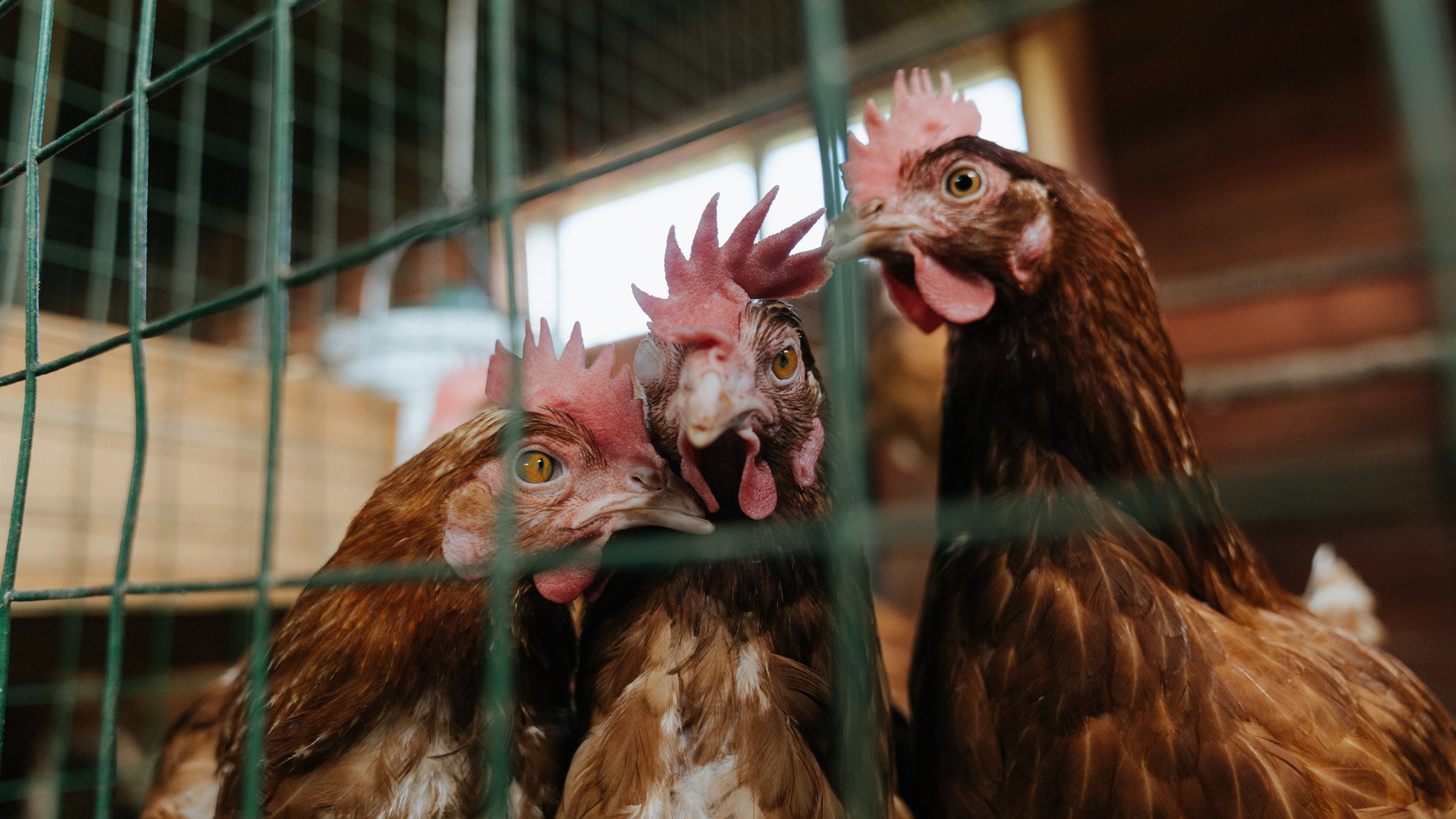 自行车公路赛路线调整,公路自行车赛道标准
